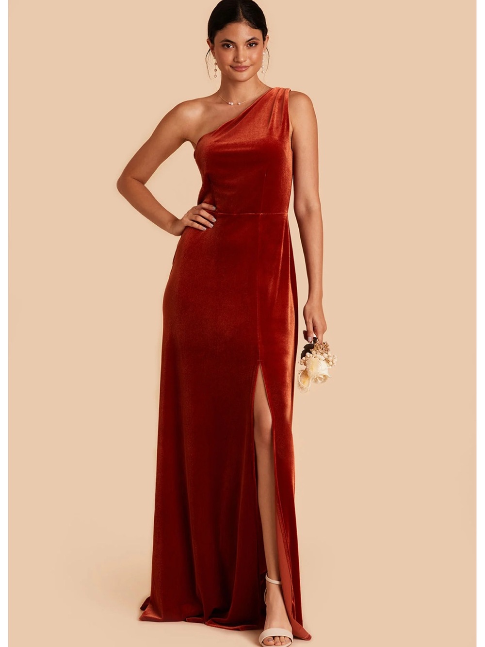 NWT - Birdy Grey Kira Velvet Bridesmaids Dress